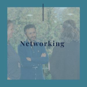 networking triunfa con tu estudio